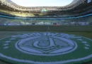 Palmeiras se torna clube brasileiro com mais vices de Libertadores
