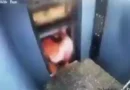 Vídeo: homem escapa de ser esmagado ao sair de elevador na Índia