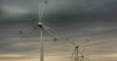 Empresas de energia renováveis suspendem quase R$ 40 bi em investimentos e avaliam deixar Nordeste