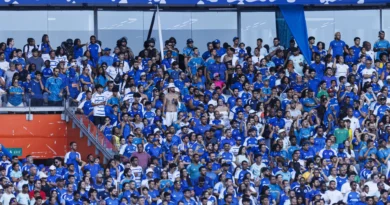 Cruzeiro tenta reação no Brasileirão contra o Bragantino, que mira aproximação do G-6