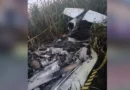 Avião monomotor cai no interior de SP e piloto morre carbonizado
