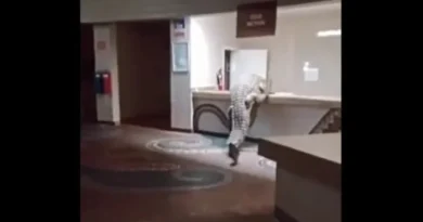 Vídeo: crocodilo invade recepção de hotel e tenta subir no balcão