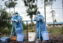 ONU confirma 18 mortos e 134 casos em surto de ebola na RDCongo