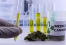 Mulheres de 45 a 64 anos lideram mercado de cannabis medicinal no país