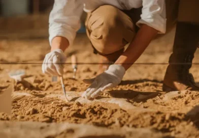 Brasil quer recuperar dinossauros e patrimônios espalhados por 14 país