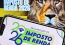 Imposto de Renda 2026: como será o pagamento do 1º lote de restituição?