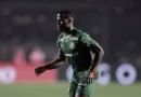 Palmeiras se despede de convocados na Libertadores