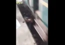 Pai salta nos trilhos do trem para salvar o filho bebê; vídeo