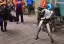 Dança, tira selfies e atrasa voo nos EUA: Conheça Bebop, o robô que viaja