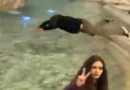 Vídeo: turista é preso na Itália após mergulhar na Fontana di Trevi