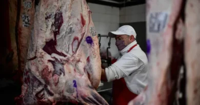 Governo é surpreendido com veto da UE sobre importação de carnes do BR