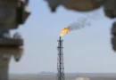 Petróleo fecha em queda após Trump suspender ataques ao Irã e citar avanços diplomáticos