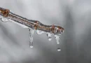 Frio persiste com risco de geada no Sul e Sudeste