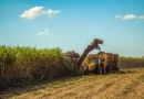 Nordeste deve liderar crescimento econômico do Brasil em 2026