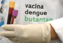 O que fazer se você tomou a vacina da dengue do Butantan, suspensa após reações adversas