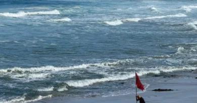 Pedi a Deus para ter uma morte digna, diz mulher resgatada viva no mar em Ilhabela