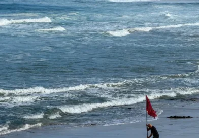 Pedi a Deus para ter uma morte digna, diz mulher resgatada viva no mar em Ilhabela