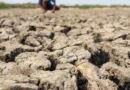Seguradoras se preparam para pico de indenizações com El Niño