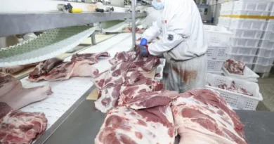 União Europeia confirma veto à carne brasileira e suspende importações a partir de setembro