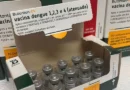 Quais sintomas ficar atento para quem tomou vacina do Butantan