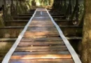 Ponte ferroviária histórica desaparece em Prados (MG) e é achada a 180 km
