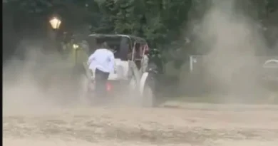 Turista morre em passeio de carruagem depois de cavalo perder o controle
