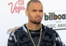 Chris Brown é condenado após ataque de cão desfigurar funcionária