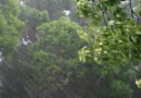 El Niño é um dos causadores do vendaval, mas não o único fator, dizem meteorologistas