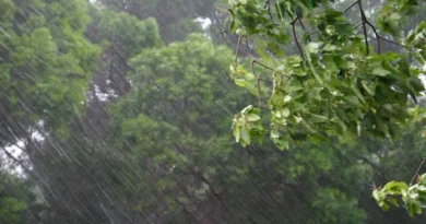 El Niño é um dos causadores do vendaval, mas não o único fator, dizem meteorologistas