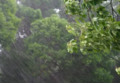 El Niño é um dos causadores do vendaval, mas não o único fator, dizem meteorologistas