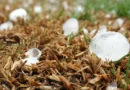 Tempestades e granizo continuam no Rio Grande do Sul