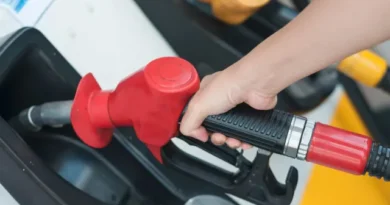 Governo vai adiar retirada do subsídio da gasolina, diz ministro