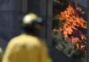 Europa enfrenta nova onda de calor, incêndios e alta nos alimentos