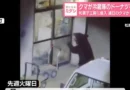 Urso invade 15 casas no Japão e até rouba donuts de geladeira