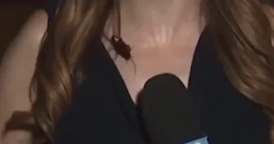 Vídeo viral: Barata voadora invade cobertura ao vivo de jornalista