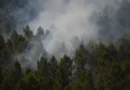 Incêndio na Espanha queima 13 mil hectares e expulsa centenas de casa