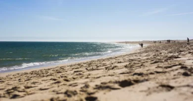 Oceanos batem recorde de calor em julho e Europa enfrenta seca extrema