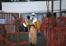 Surto de Ebola no Congo se espalha para duas novas zonas de saúde, afetando 60 áreas