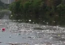 Grande volume de lixo flutuando no rio Pinheiros chama atenção após forte chuva em SP