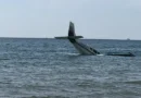 Aeronave faz pouso de emergência em plena praia na Florida