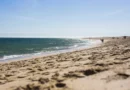 Cidade de SC conclui maior alargamento de praias do Brasil