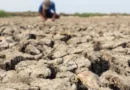 Chance de El Niño muito forte a partir de setembro sobe para 97%, diz agência dos EUA