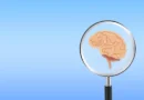 Neurologista alerta: Este é o pior hábito para a saúde do cérebro