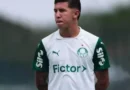 Felipe Teresa, do Palmeiras, se manifesta após ser acusado de agredir a ex