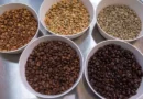 Brasil deve colher recorde de 67,6 milhões de sacas de café em 2026