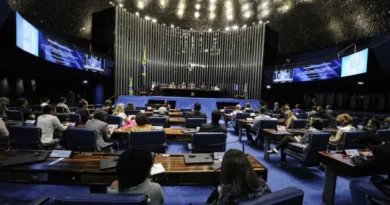 Eleições 2026: bancada feminina pode chegar a 22 integrantes no Senado