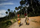 MPF e PF apuram denúncias de ataques contra indígenas