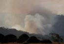 Ibama aplica R$ 2 milhões em multas por incêndios ilegais na Amazônia