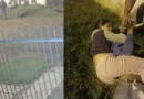 Menina de 14 anos imobiliza ladrão com mata-leão por 15 minutos após ele invadir sua casa
